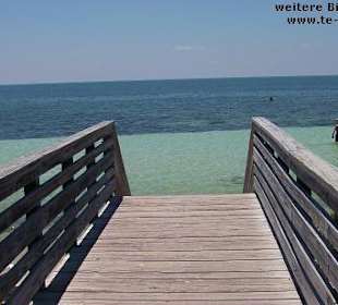 Strand von Marathon (Florida Keys)