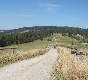 Widok na Halę Boraczą