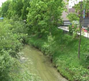Stadtgarten