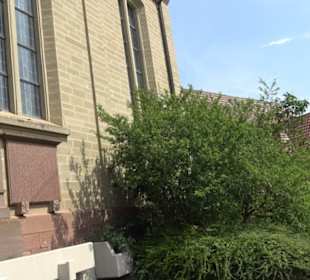 Evangelische Bricciuskirche Oberjesingen