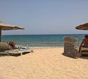 Abu Dabab/ Schildkröten