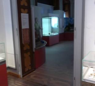 Archäologisches Museum 