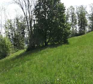 Wallfahrtkirche St. Maria