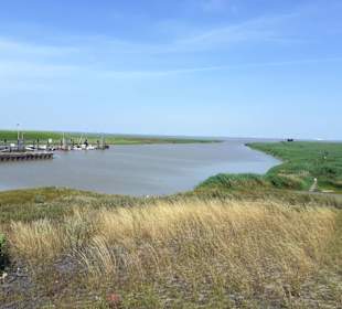 Kiekkaaste in Winschoten