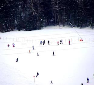 Scheffau/Skigebiet im Bild