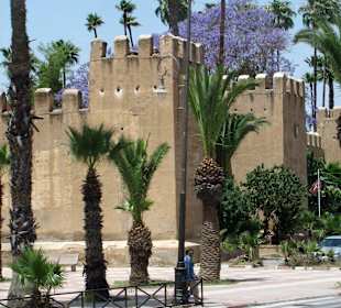 Taroudannt:Stadtmauer mit blühendem Jacaranda