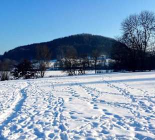 Liegewiesenbereich
