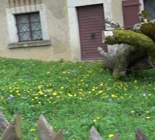 Schloß Fachsenfeld