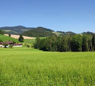 Blickrichtung Sallegg