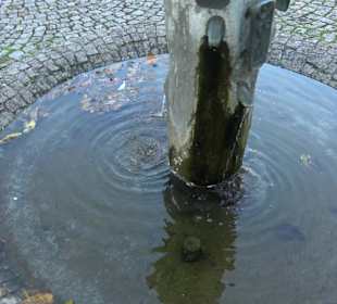 St. Martinsbrunnen