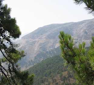 Blick auf die Straße ca. 1100 m über d. M.