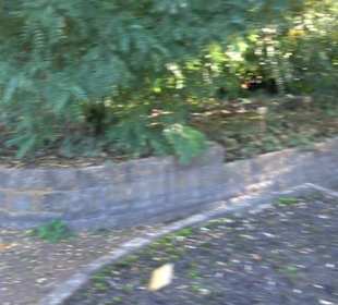 Botanischer Garten