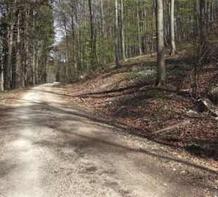 Wanderweg Hochgehkämpft