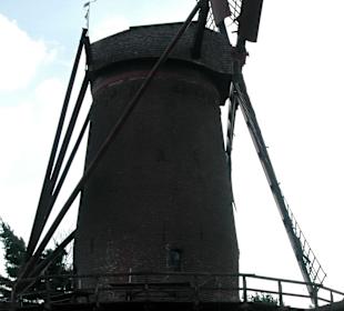 Altstadt....die Stadtmauer und die Kriemhildmühle
