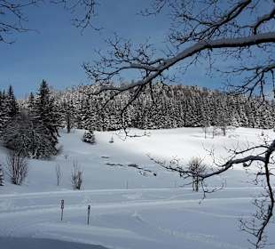 Bilderbuchwinter Natur pur am Rinken