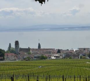 Wanderung über Höhenweg von Hagnau nach Meersburg