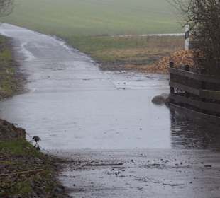 Hinter dem Hotel der Weg zum Leuchtturm