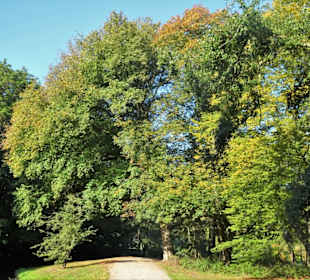 Herbststimmung im Bremer Bürgerpark