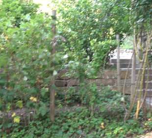 Interkultureller Gemeinschaftsgarten