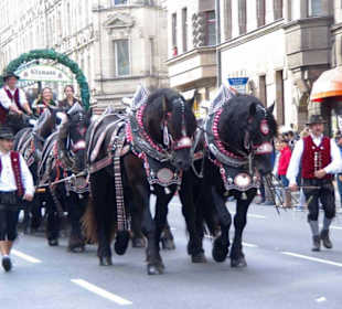 Brauerei Kitzmann Erlangen 6er Span