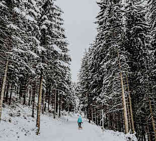 Wandern Maria Alm