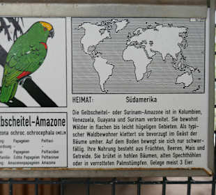 Er  kommt von Ostaustralien