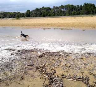 Freunde kommen dazu.....
