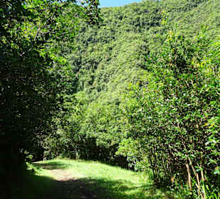 Weg rund um den Grand Étang