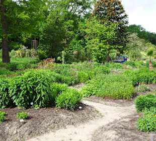 Spaziergang durch den Botanischen Garten Bremen