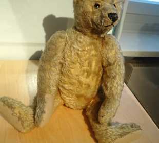 Der älteste Teddy des Museums