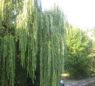 Jockel Biergarten