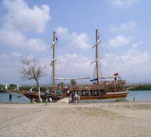 Calypso