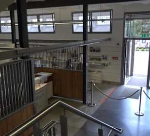 Haupt- und Landgestüt Marbach