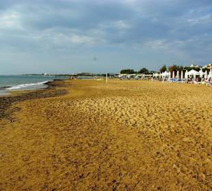 Inspirationen an d.Strandprom.entlang Nov.2010