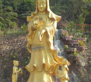 Sie steht in einem kleinen Teich