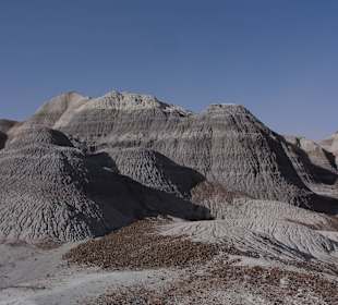 Цветная пустыня Аризоны_Blue_Mesa16