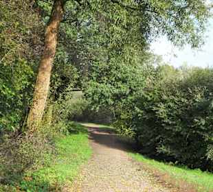 Rundgang um den Kleinen Bornhorster See