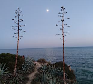 Praia de Nossa Senhora da Rocha