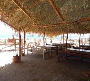 Paradise Island April2017