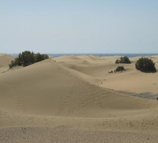 Wydmy w Maspalomas