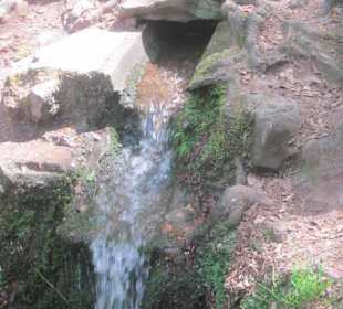 Zulauf Wasserfall am Hilschweiher