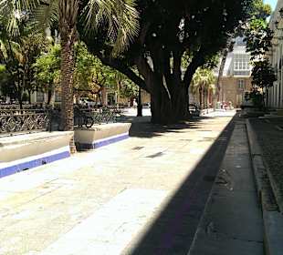 Plätzchen zum Ausruhen, mitten in der Stadt