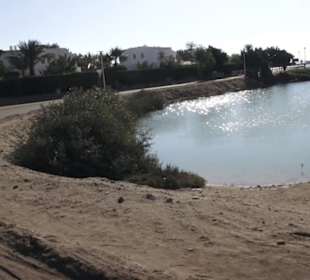 Rundfahrt El Gouna