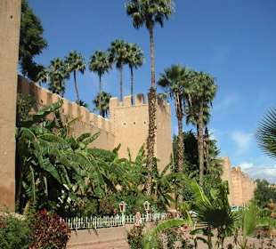 Guided Tours Sud Aventures Tours Agadir