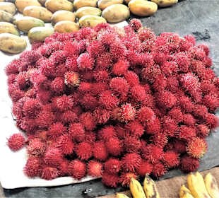 Obst- und Gemüsemarkt Trincomalee