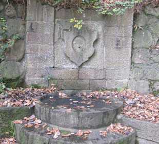 Auf dem Weg zur Wolfsburg