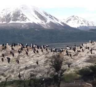 Bootsfahrt Beaglekanal