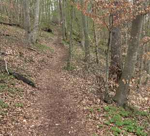 Biotop Knoblauchfelsen