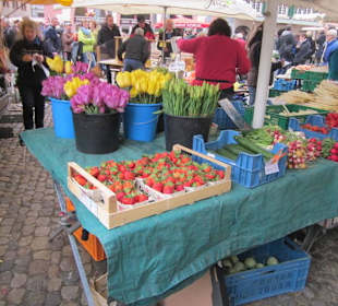 Altstadt Freiburg Markt am Münster