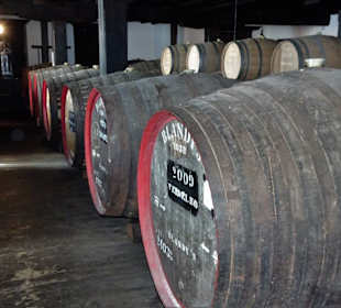 Madeira-Fässer in der Blandy's Wein Lodge